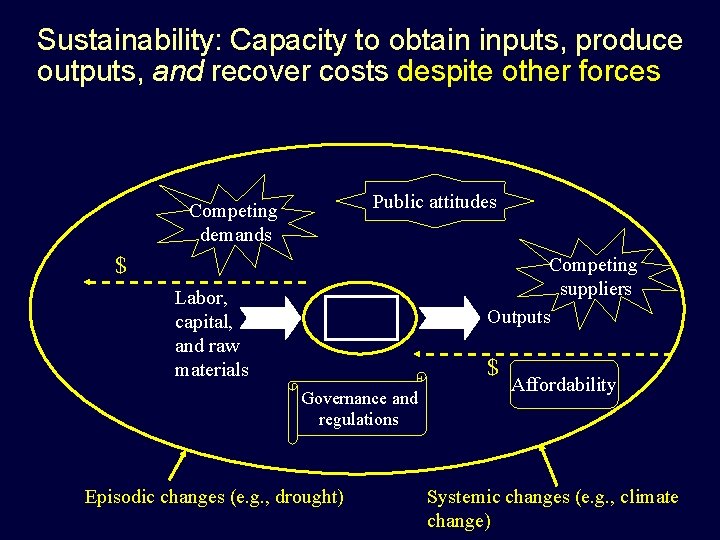 Sustainability: Capacity to obtain inputs, produce outputs, and recover costs despite other forces Public