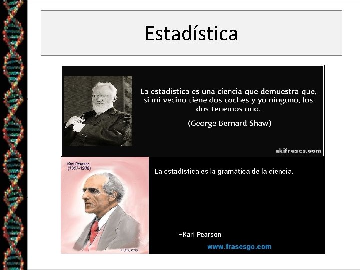Estadística Estadística
