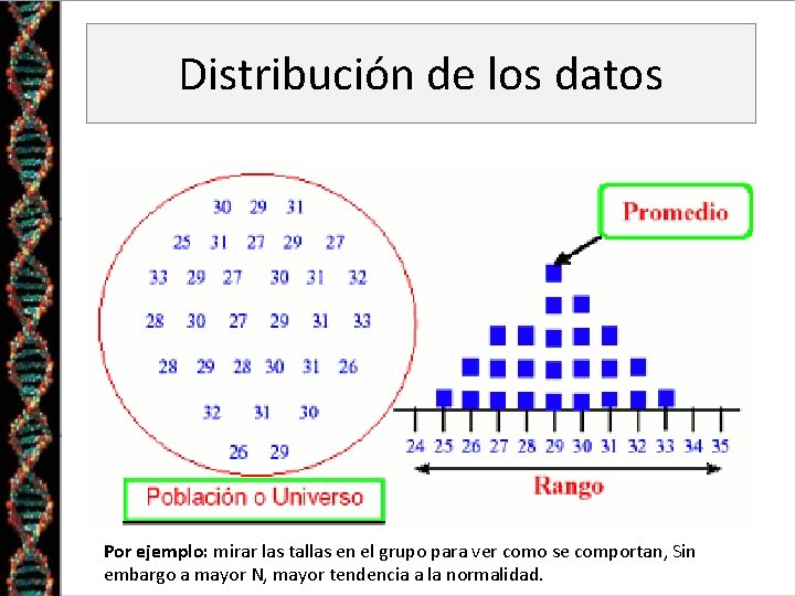 Distribución de los datos Por ejemplo: mirar las tallas en el grupo para ver