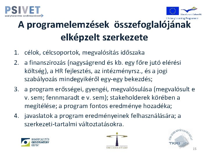 A programelemzések összefoglalójának elképzelt szerkezete 1. célok, célcsoportok, megvalósítás időszaka 2. a finanszírozás (nagyságrend