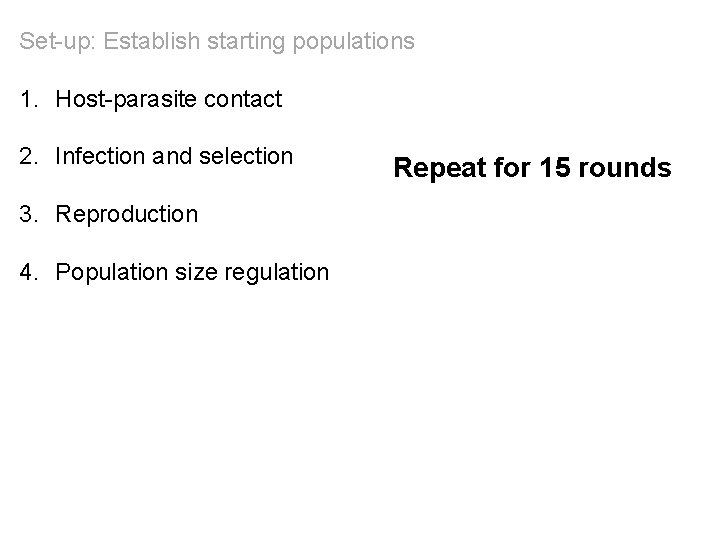Set-up: Establish starting populations 1. Host-parasite contact 2. Infection and selection 3. Reproduction 4.