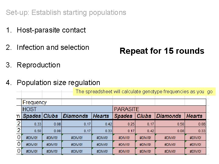 Set-up: Establish starting populations 1. Host-parasite contact 2. Infection and selection Repeat for 15