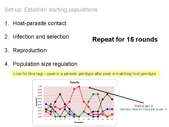 Set-up: Establish starting populations 1. Host-parasite contact 2. Infection and selection Repeat for 15