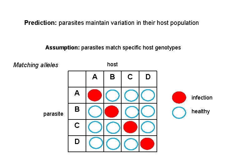 Prediction: parasites maintain variation in their host population Assumption: parasites match specific host genotypes