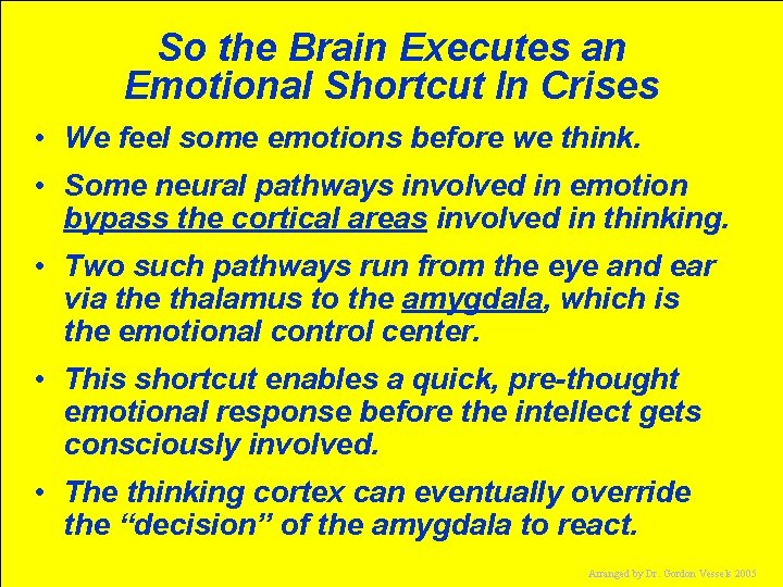 So the Brain Executes an Emotional Shortcut In Crises • We feel some emotions