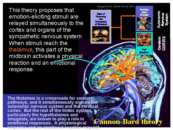 Fear (Emotion) The thalamus is a crossroads for sensory pathways, and it simultaneously signals