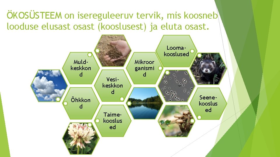 ÖKOSÜSTEEM on isereguleeruv tervik, mis koosneb looduse elusast osast (kooslusest) ja eluta osast. Loomakooslused