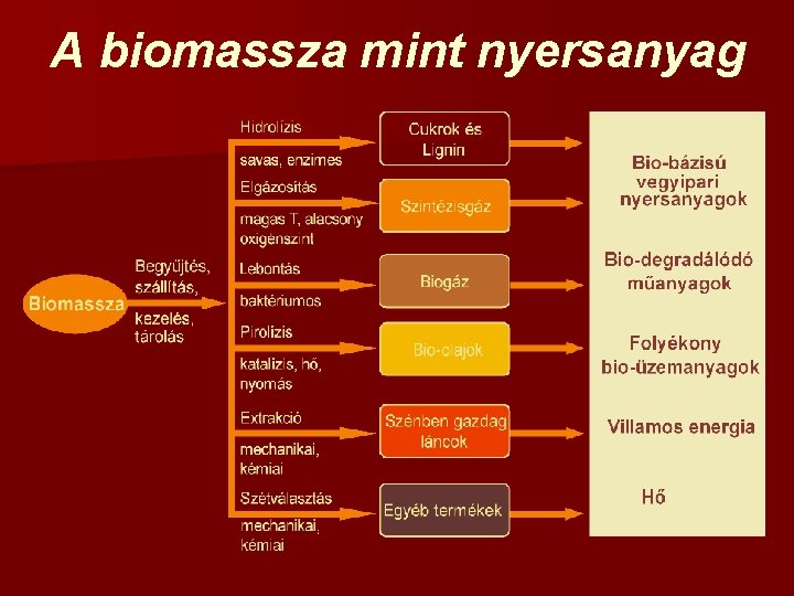 A biomassza mint nyersanyag 