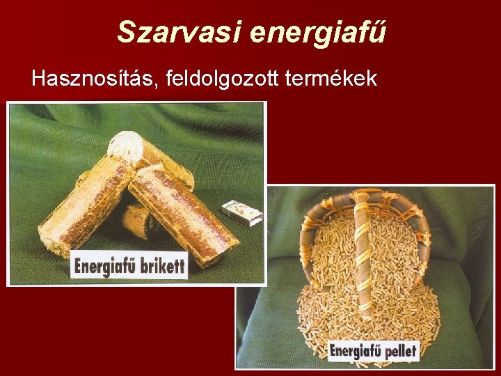 Szarvasi energiafű Hasznosítás, feldolgozott termékek 