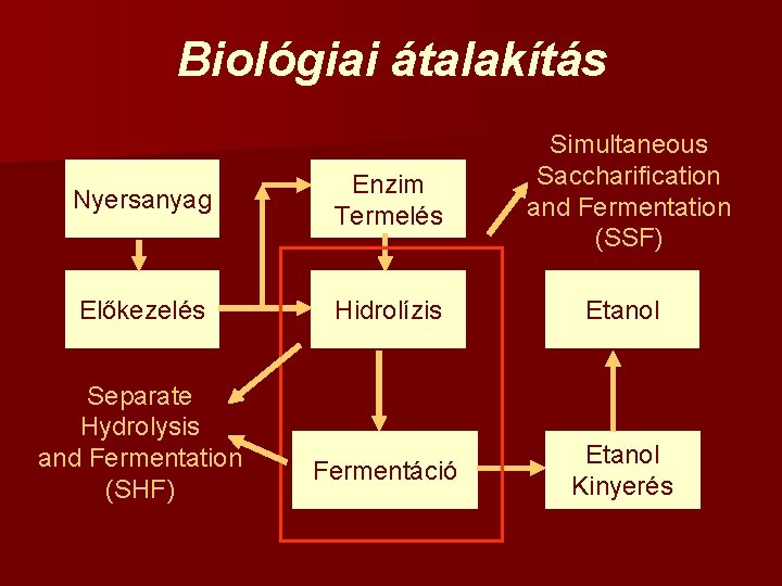 Biológiai átalakítás Nyersanyag Enzim Termelés Simultaneous Saccharification and Fermentation (SSF) Előkezelés Hidrolízis Etanol Fermentáció