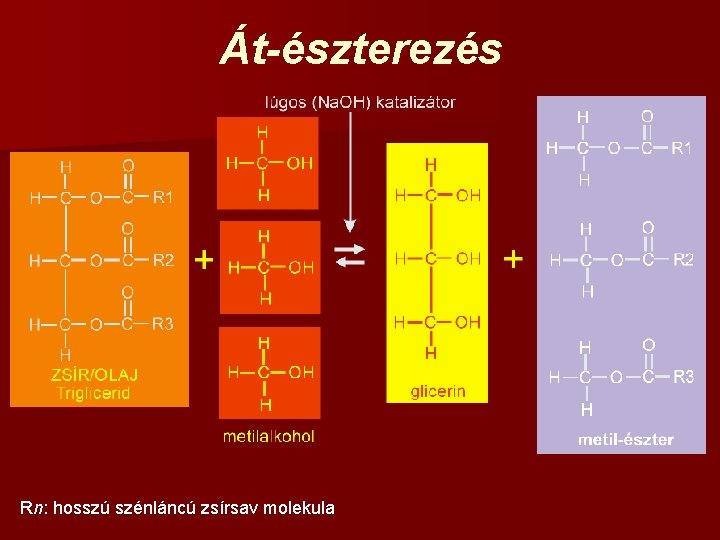 Át-észterezés Rn: hosszú szénláncú zsírsav molekula 