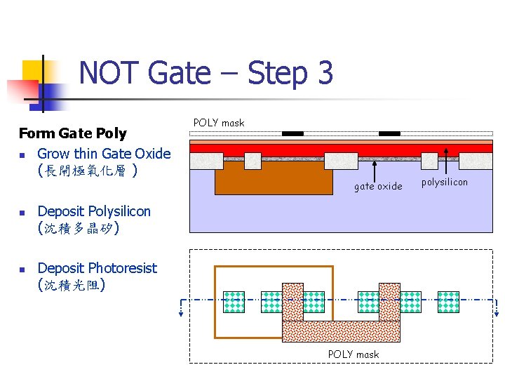 NOT Gate – Step 3 Form Gate Poly n Grow thin Gate Oxide (長閘極氧化層