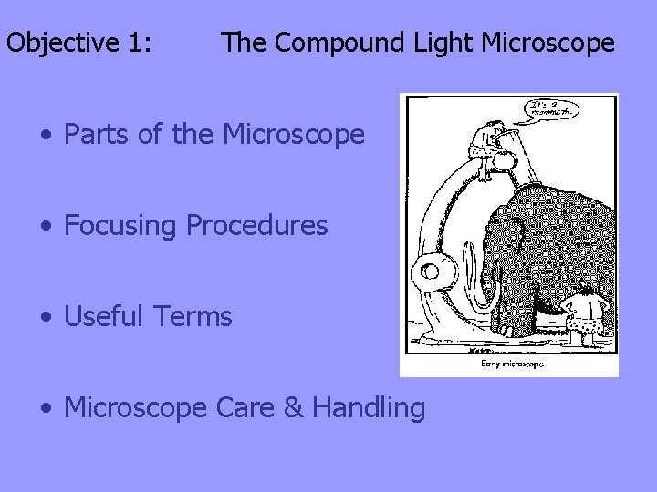 Objective 1: The Compound Light Microscope • Parts of the Microscope • Focusing Procedures