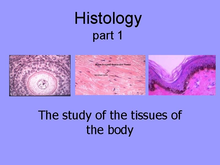 Histology part 1 The study of the tissues of the body 