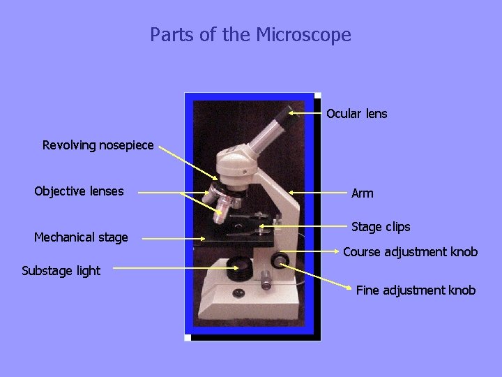 Parts of the Microscope Ocular lens Revolving nosepiece Objective lenses Mechanical stage Arm Stage