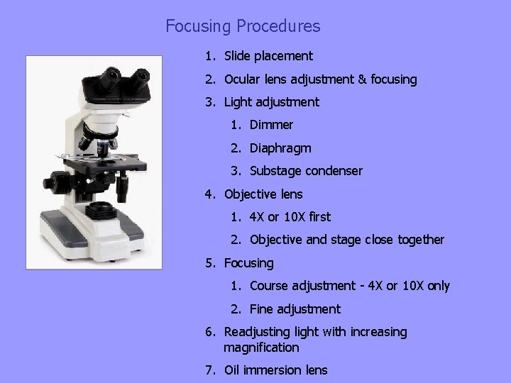 Focusing Procedures 1. Slide placement 2. Ocular lens adjustment & focusing 3. Light adjustment