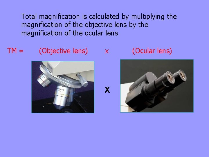 Total magnification is calculated by multiplying the magnification of the objective lens by the