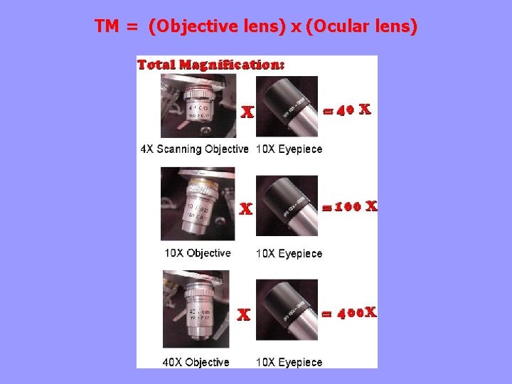 TM = (Objective lens) x (Ocular lens) 