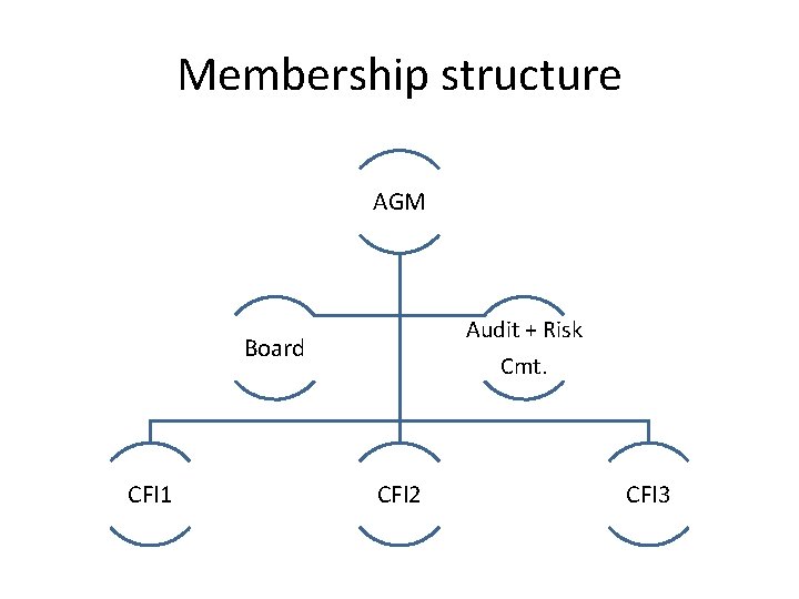 Membership structure AGM Audit + Risk Cmt. Board CFI 1 CFI 2 CFI 3
