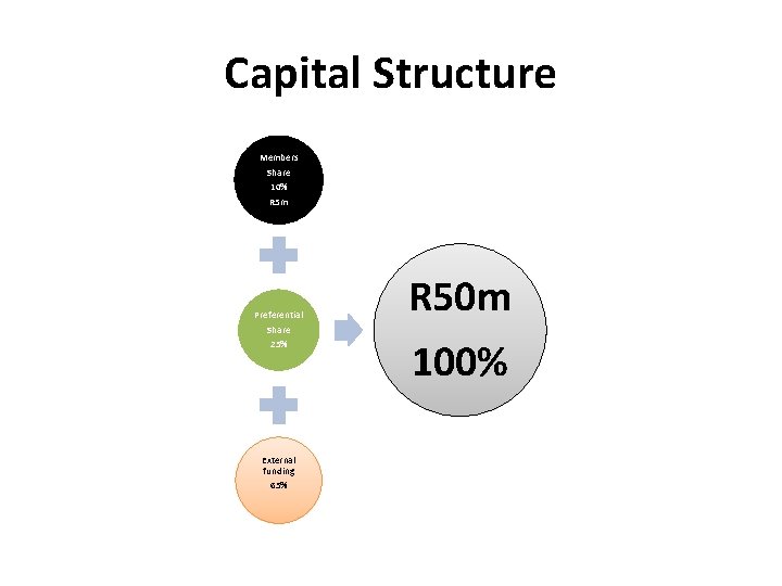 Capital Structure Members Share 10% R 5 m Preferential Share 25% External funding 65%