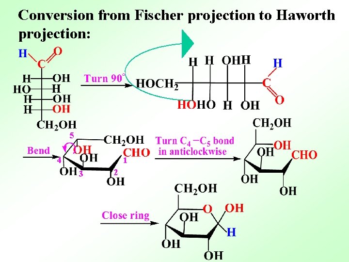 Conversion from Fischer projection to Haworth projection: 5 4 1 3 2 