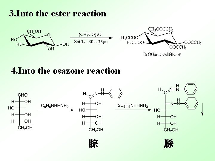 3. Into the ester reaction 4. Into the osazone reaction 腙 脎 
