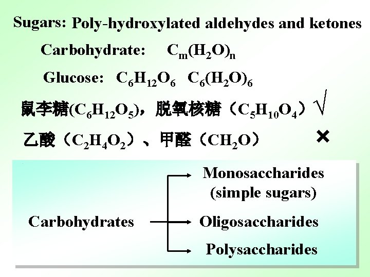 Sugars: Poly-hydroxylated aldehydes and ketones Carbohydrate: Cm(H 2 O)n Glucose: C 6 H 12