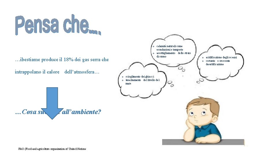 …ilbestiame produce il 18% dei gas serra che o calamità naturali come esondazioni e