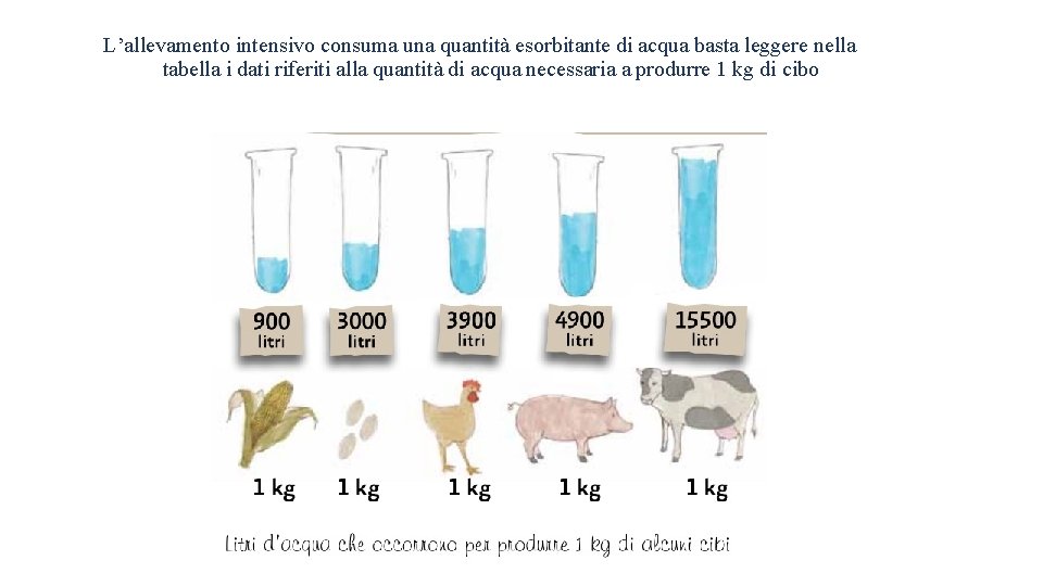 L’allevamento intensivo consuma una quantità esorbitante di acqua basta leggere nella tabella i dati