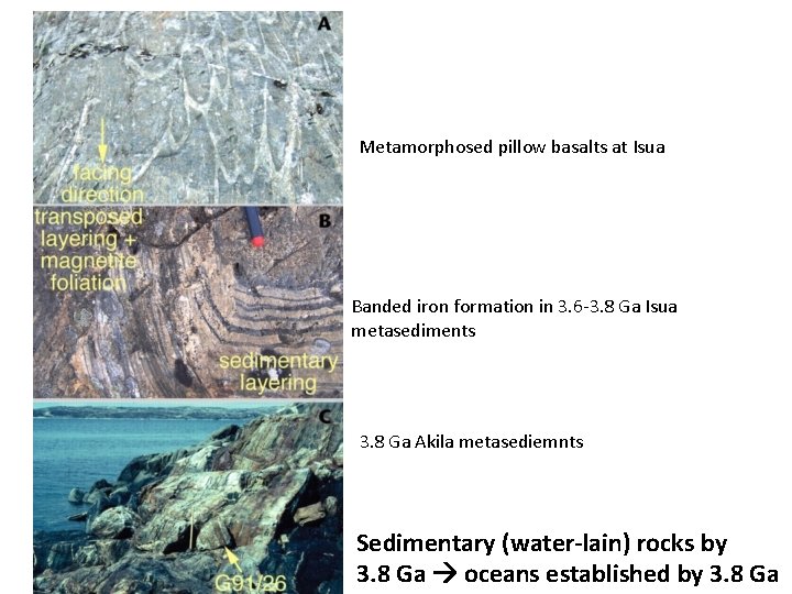 Metamorphosed pillow basalts at Isua Banded iron formation in 3. 6 -3. 8 Ga