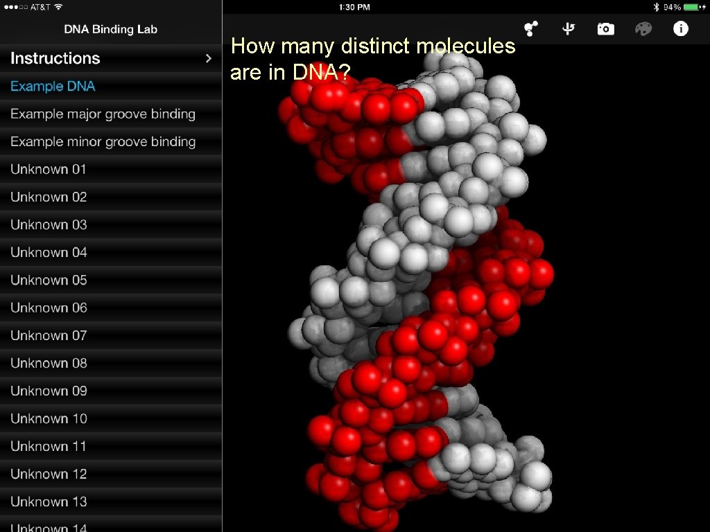 How many distinct molecules are in DNA? www. Digital-World-Biology. com 