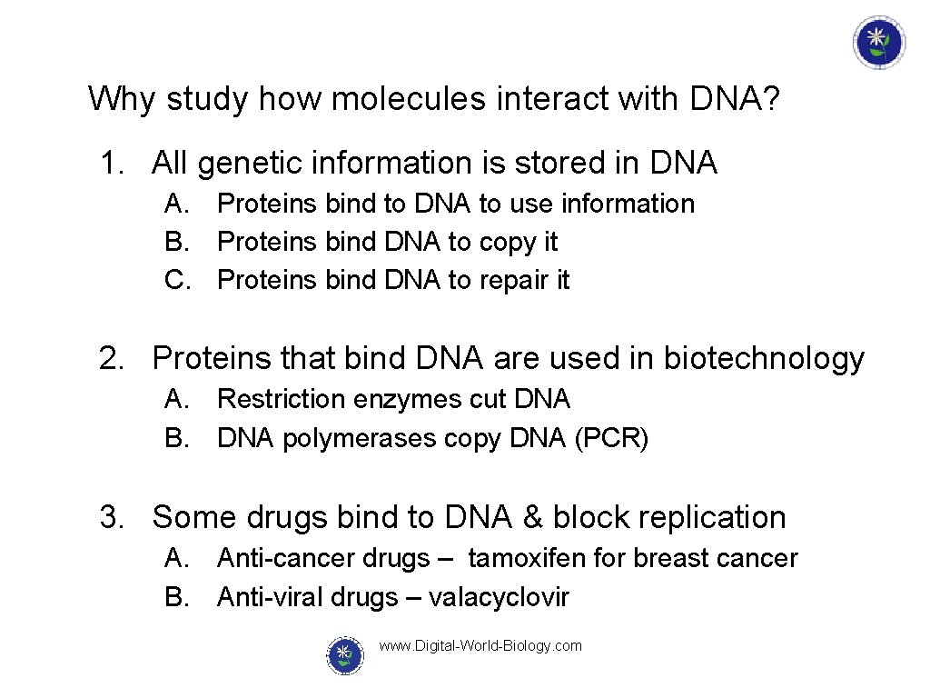 Why study how molecules interact with DNA? 1. All genetic information is stored in