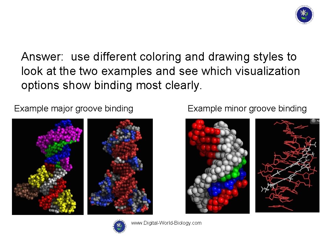 Answer: use different coloring and drawing styles to look at the two examples and