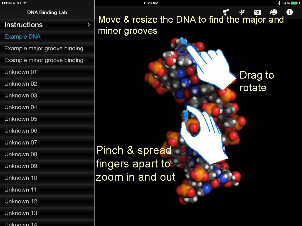 Move & resize the DNA to find the major and minor grooves Drag to