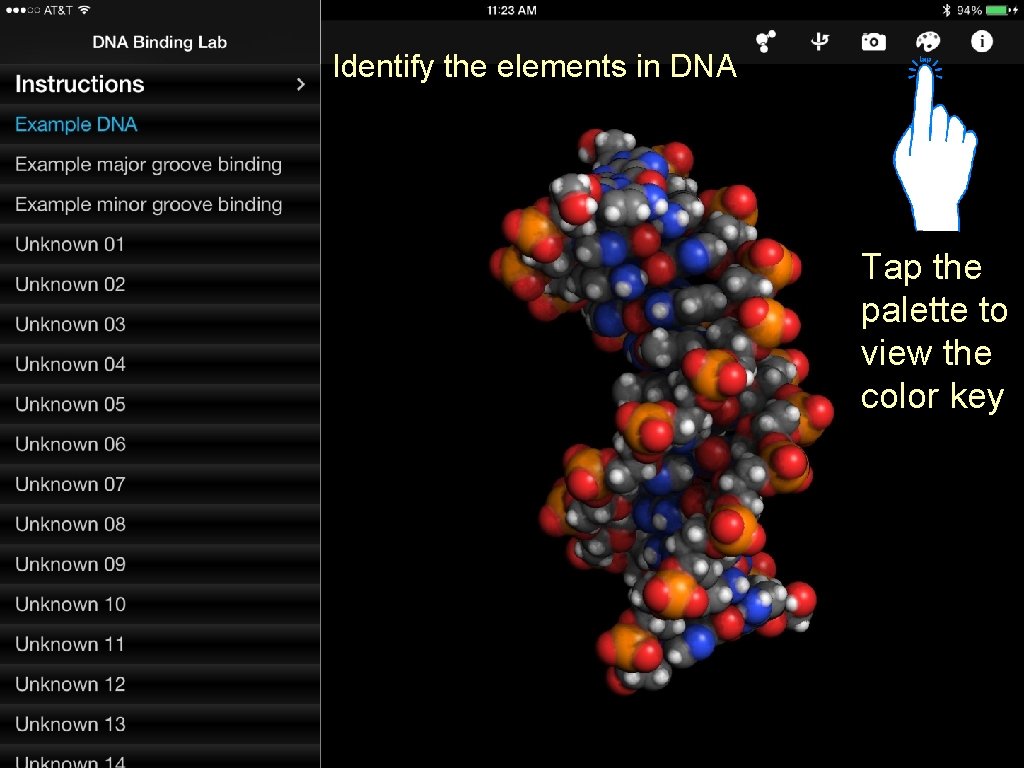 Identify the elements in DNA Tap the palette to view the color key www.