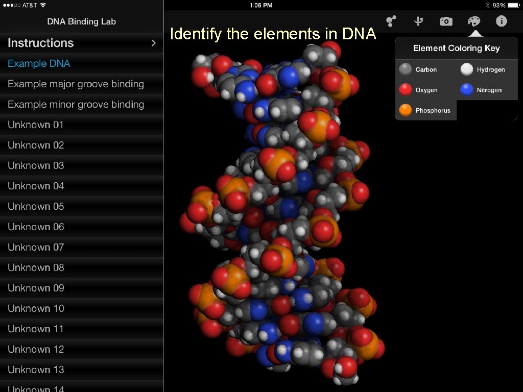 Identify the elements in DNA www. Digital-World-Biology. com 