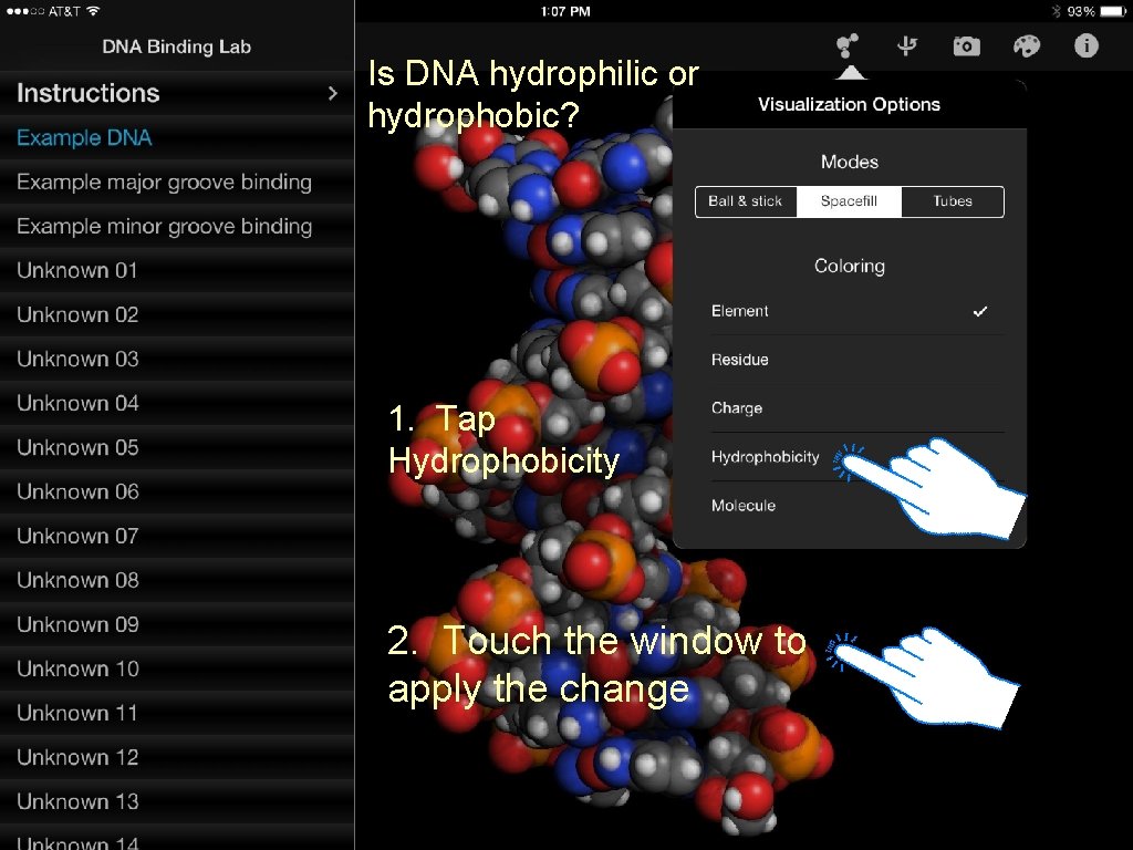 Is DNA hydrophilic or hydrophobic? 1. Tap Hydrophobicity 2. Touch the window to apply