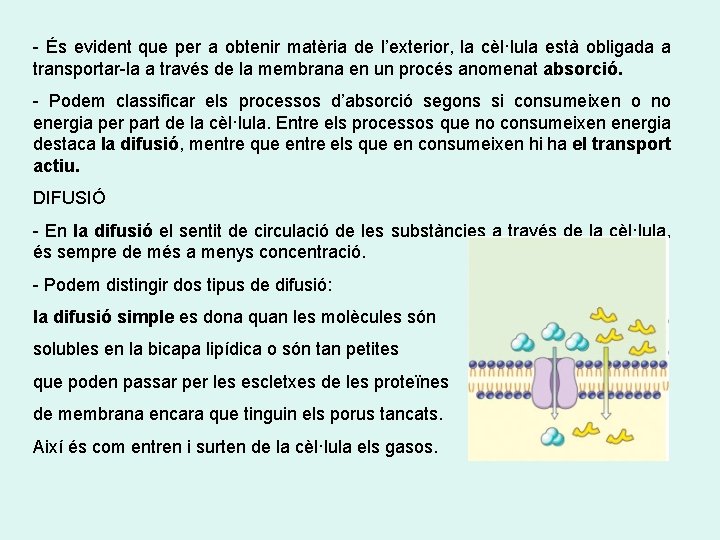 - És evident que per a obtenir matèria de l’exterior, la cèl·lula està obligada