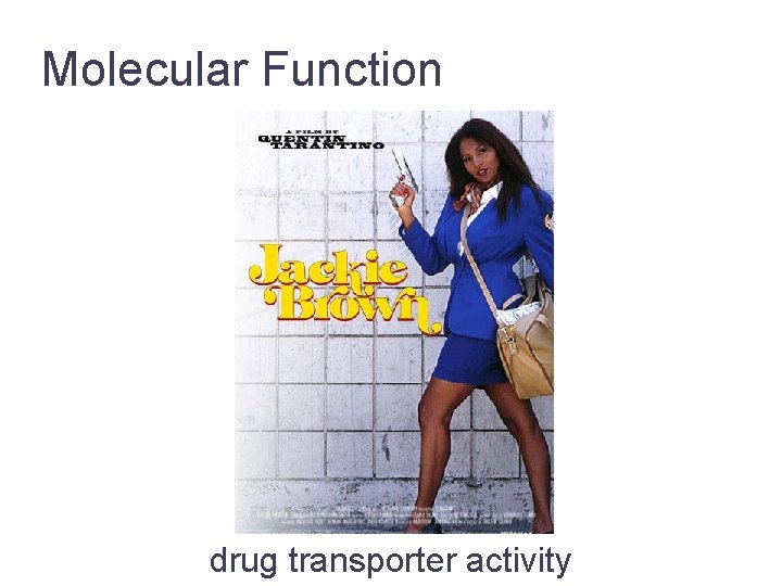 Molecular Function drug transporter activity Jane Lomax EMBL-EBI 