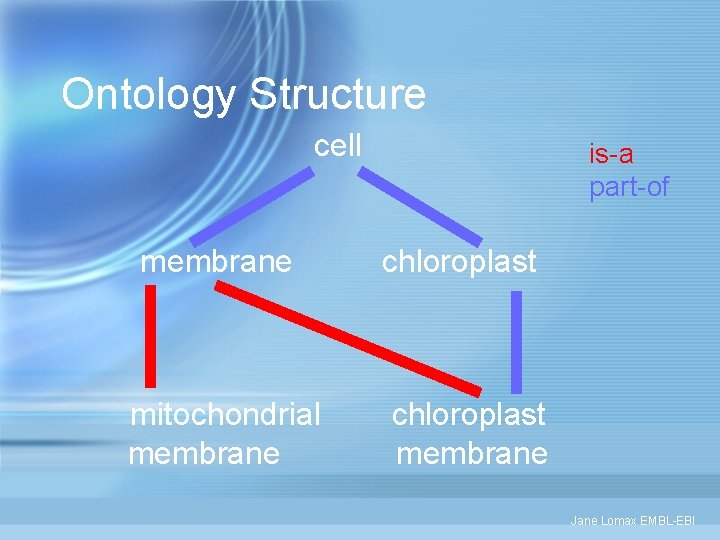 Ontology Structure cell membrane mitochondrial membrane is-a part-of chloroplast membrane Jane Lomax EMBL-EBI 