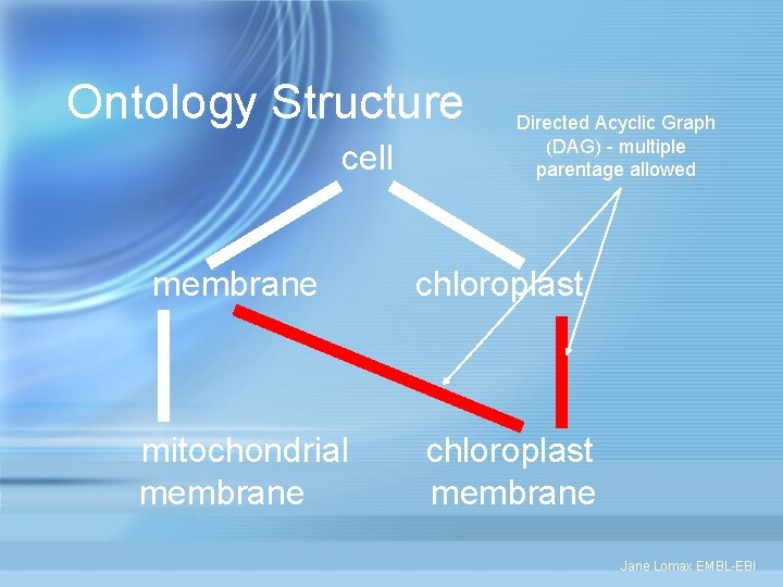 Ontology Structure cell membrane mitochondrial membrane Directed Acyclic Graph (DAG) - multiple parentage allowed