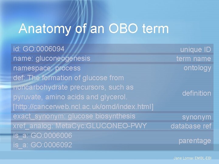 Anatomy of an OBO term id: GO: 0006094 name: gluconeogenesis namespace: process def: The