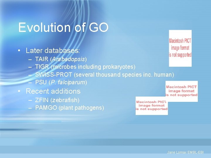 Evolution of GO • Later databases: – – TAIR (Arabadopsis) TIGR (microbes including prokaryotes)