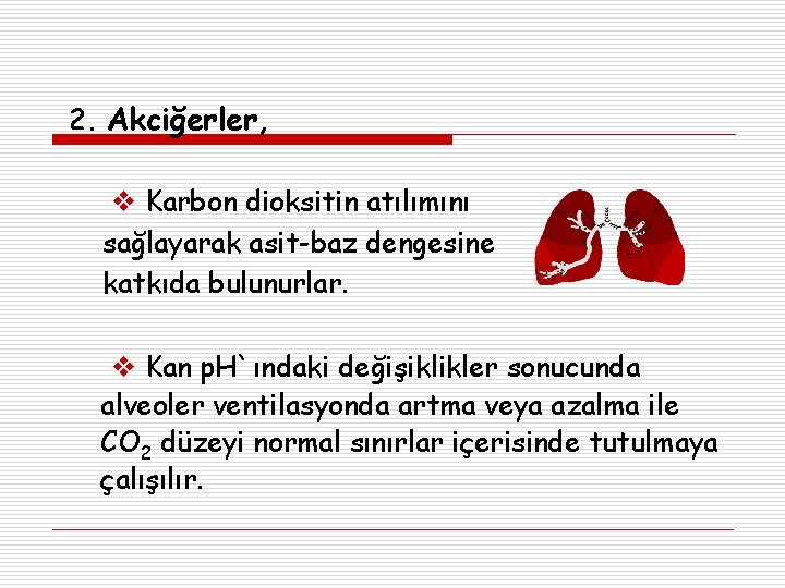 2. Akciğerler, Karbon dioksitin atılımını sağlayarak asit-baz dengesine katkıda bulunurlar. Kan p. H`ındaki değişiklikler