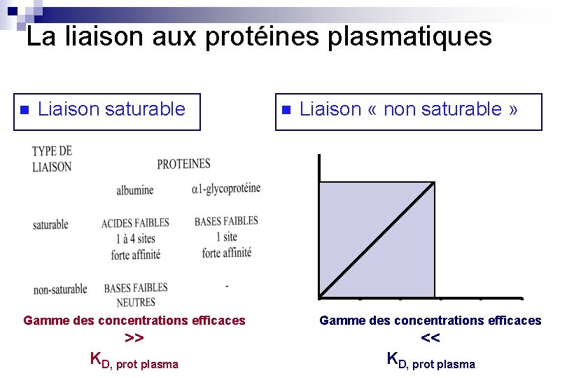 La liaison aux protéines plasmatiques n Liaison saturable n Liaison « non saturable »