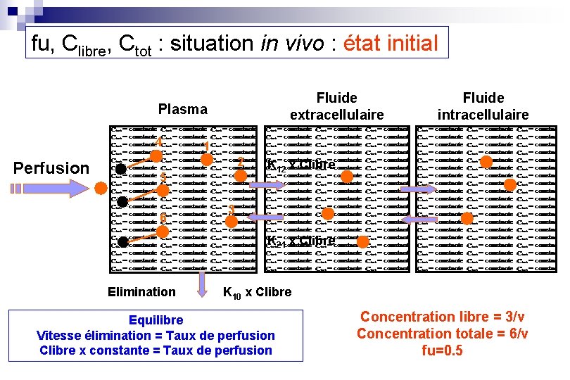 fu, Clibre, Ctot : situation in vivo : état initial Fluide extracellulaire Plasma 4