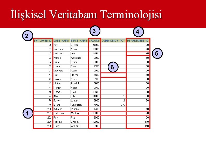 İlişkisel Veritabanı Terminolojisi 2 3 4 5 6 1 