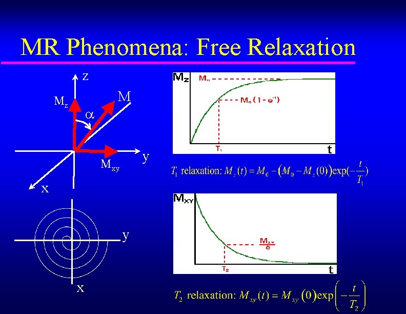 MR Phenomena: Free Relaxation z Mz M y Mxy x 