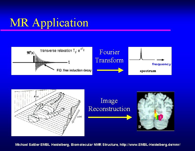 MR Application Fourier Transform Image Reconstruction Michael Sattler EMBL Heidelberg, Biomolecular NMR Structure, http: