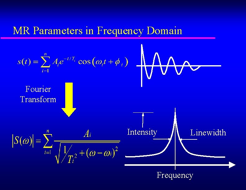 MR Parameters in Frequency Domain Fourier Transform Intensity Linewidth Frequency 